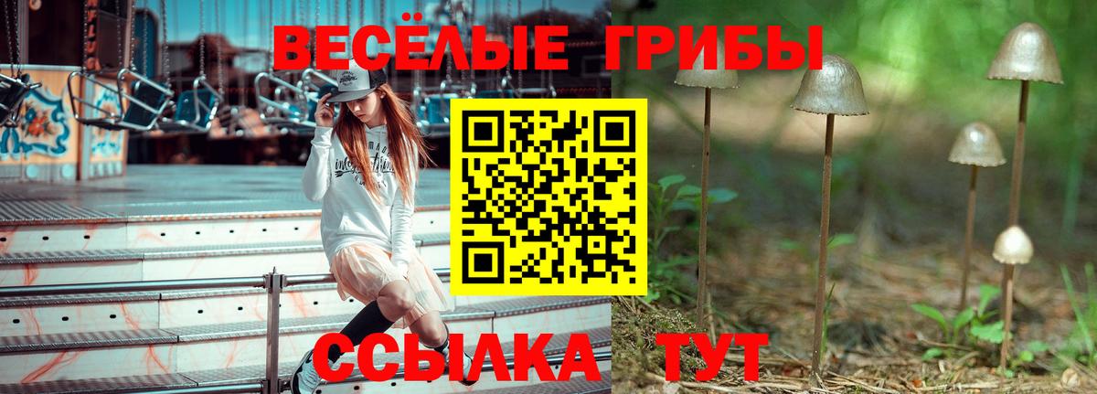 Когалым  цены   Вход с VPN  Галлюциногенные грибы MAGIC MUSHROOMS 