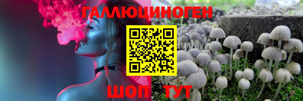 Галлюциногенные грибы мухоморы Когалым